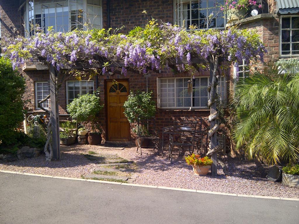 Babbling Brook Bed & Breakfast Pietermaritzburg Exteriör bild