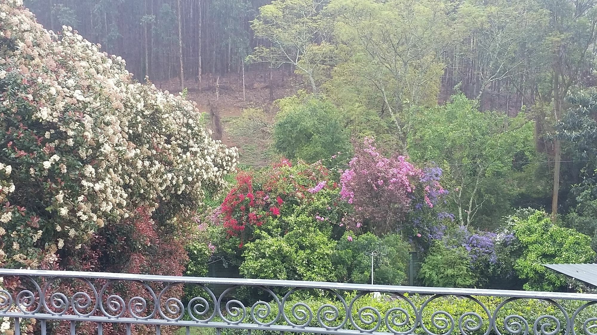 Babbling Brook Bed & Breakfast Pietermaritzburg Exteriör bild