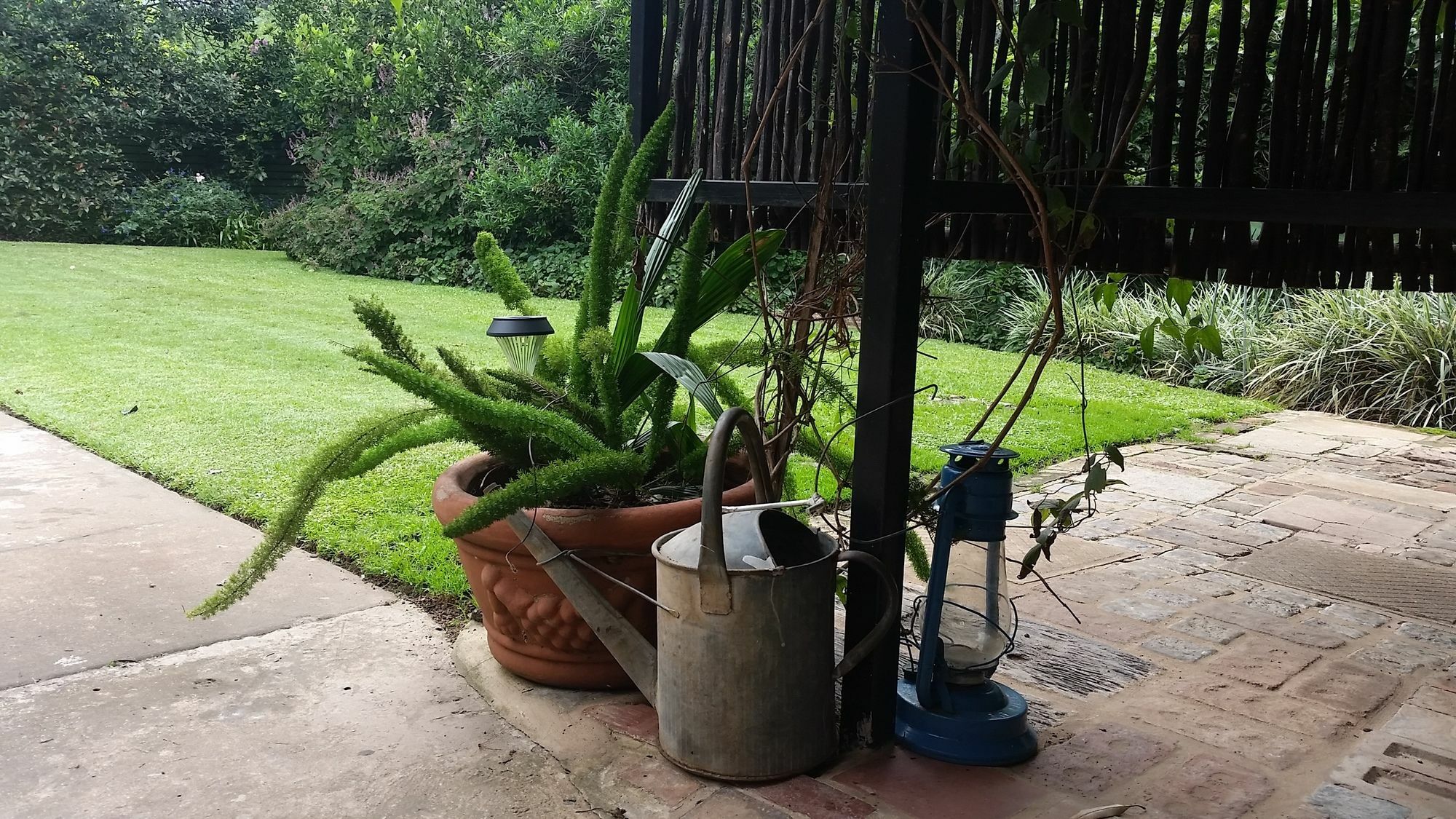 Babbling Brook Bed & Breakfast Pietermaritzburg Exteriör bild